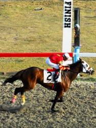 Slevin was sharp in the win last race day.